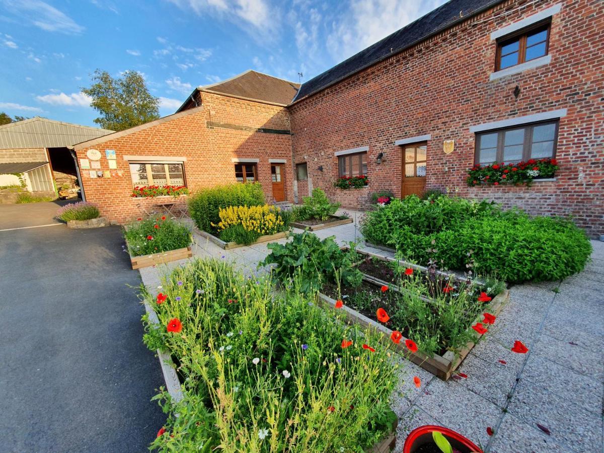 Les Mout'Anes Bed & Breakfast Saint-Hilaire-sur-Helpe ภายนอก รูปภาพ