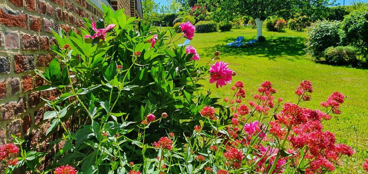 Les Mout'Anes Bed & Breakfast Saint-Hilaire-sur-Helpe ภายนอก รูปภาพ
