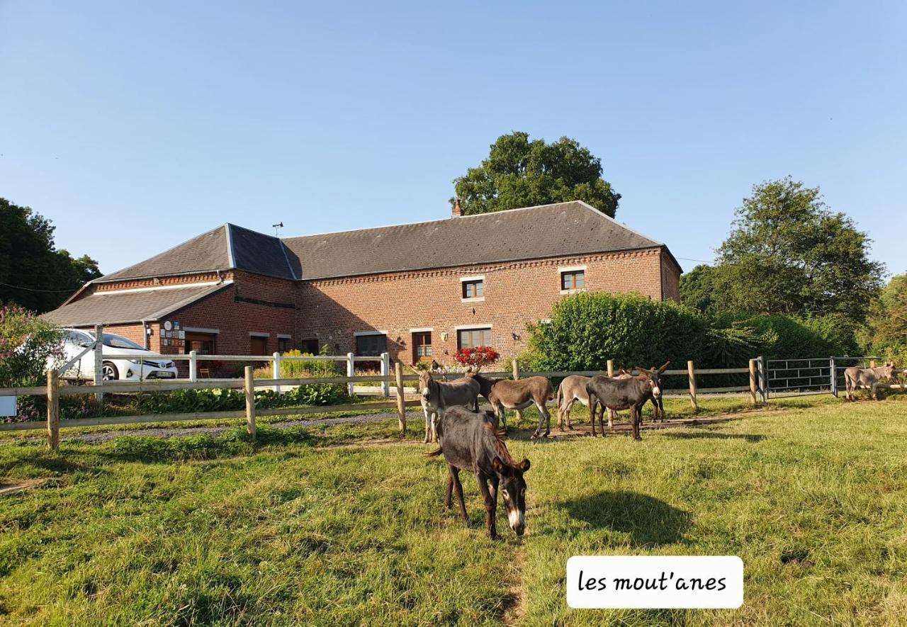 Les Mout'Anes Bed & Breakfast Saint-Hilaire-sur-Helpe ภายนอก รูปภาพ