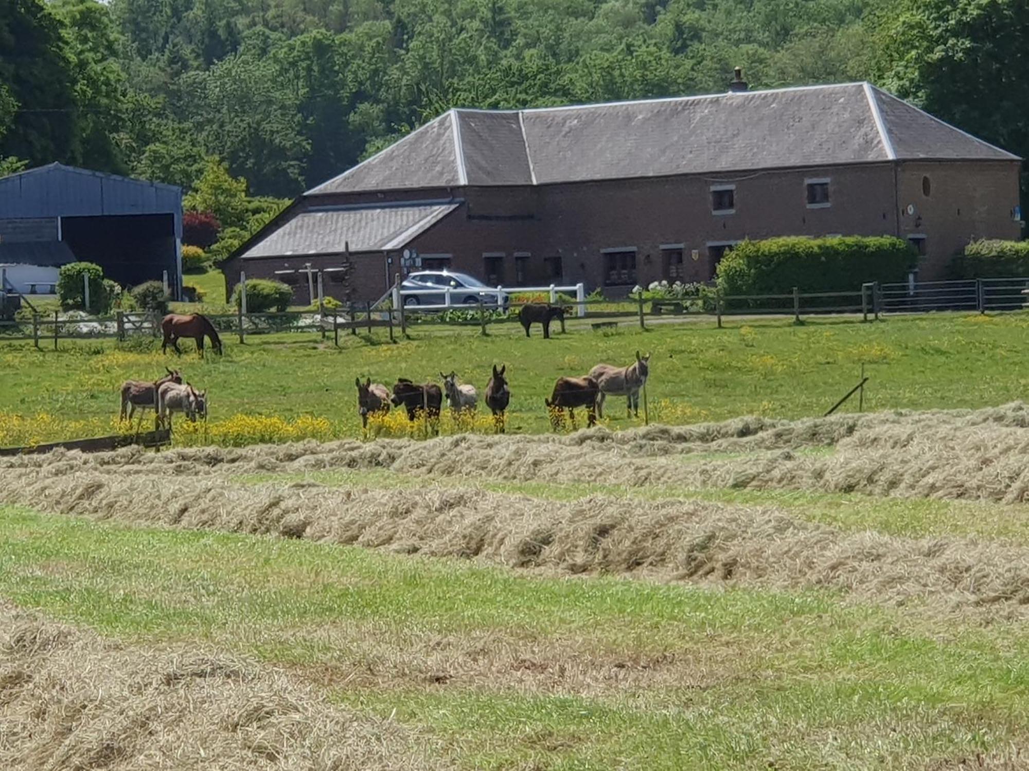Les Mout'Anes Bed & Breakfast Saint-Hilaire-sur-Helpe ภายนอก รูปภาพ