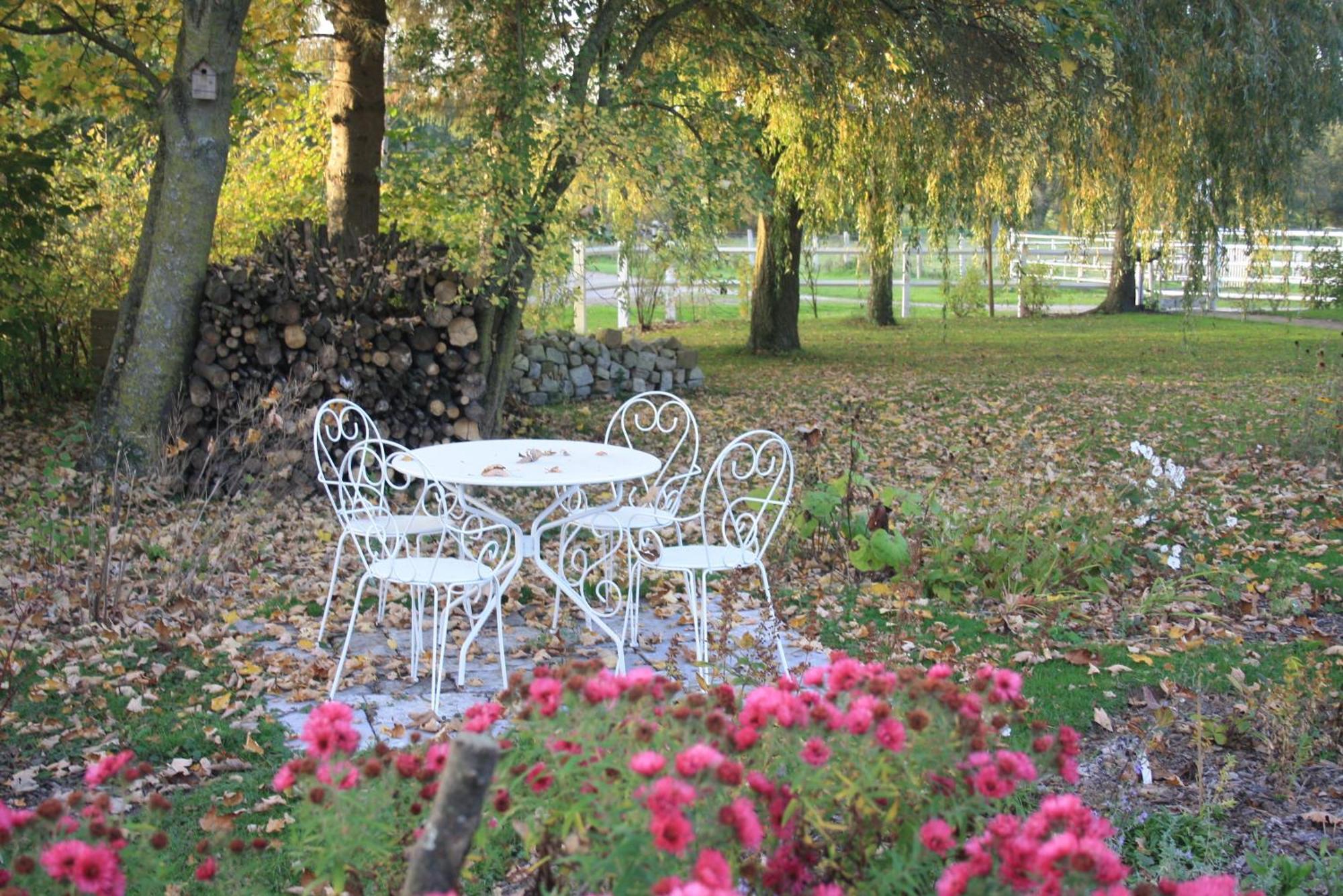 Les Mout'Anes Bed & Breakfast Saint-Hilaire-sur-Helpe ภายนอก รูปภาพ