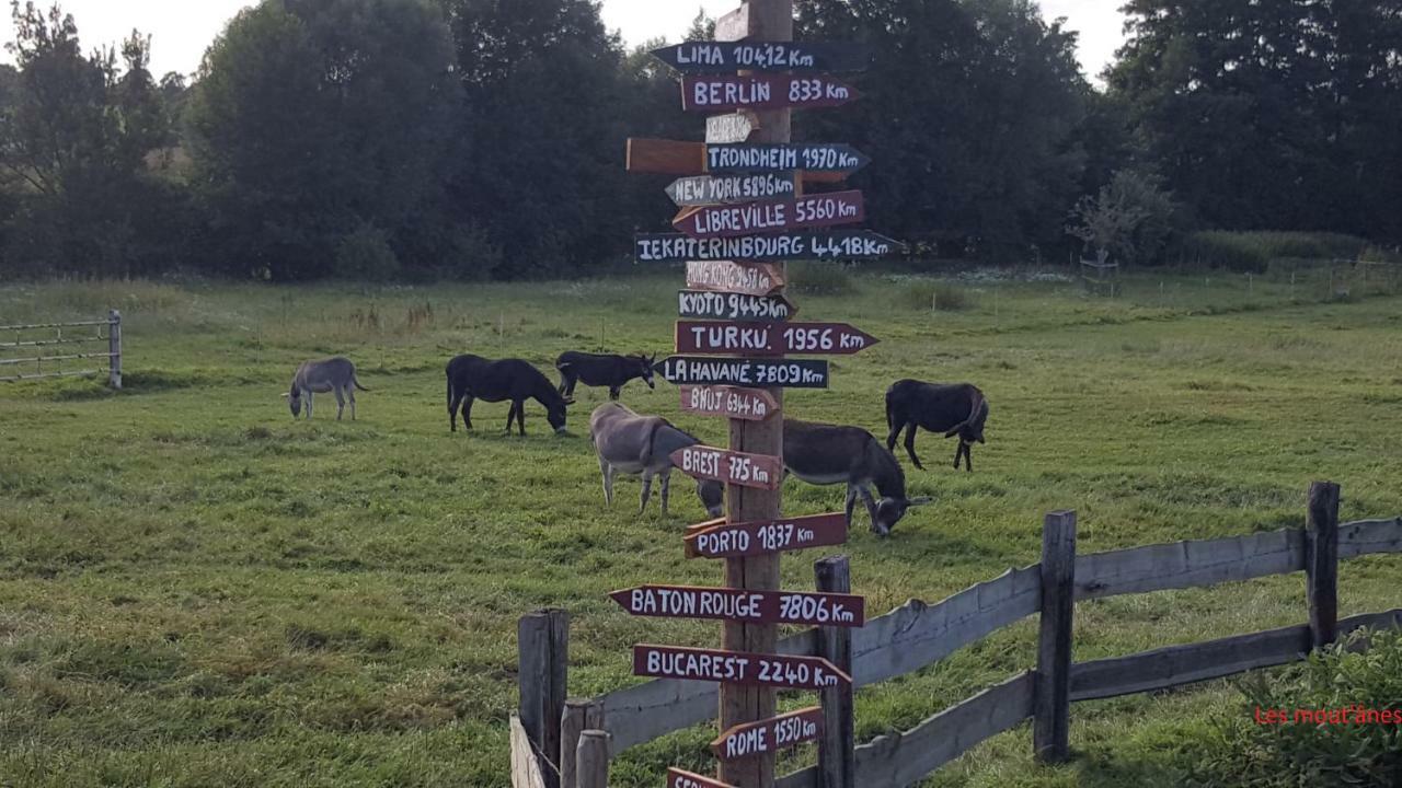 Les Mout'Anes Bed & Breakfast Saint-Hilaire-sur-Helpe ภายนอก รูปภาพ