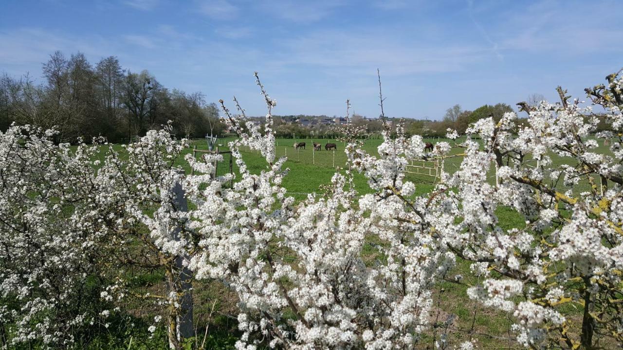 Les Mout'Anes Bed & Breakfast Saint-Hilaire-sur-Helpe ภายนอก รูปภาพ
